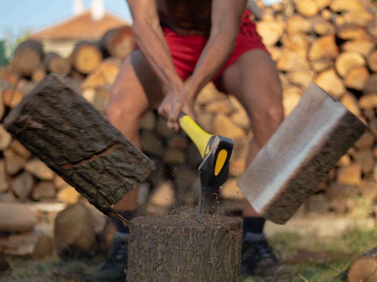 Best Palm Tree Trimming  in La Junta, CO